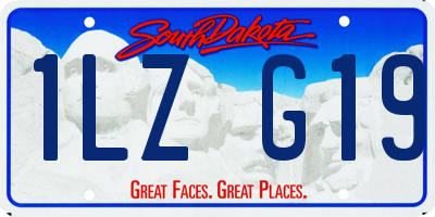 SD license plate 1LZG19
