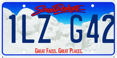 SD license plate 1LZG42