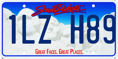 SD license plate 1LZH89