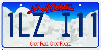 SD license plate 1LZI11