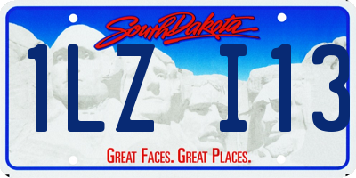SD license plate 1LZI13