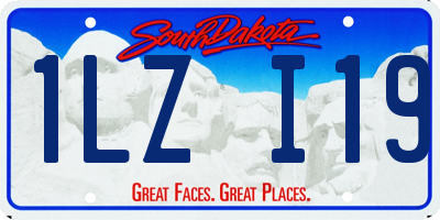 SD license plate 1LZI19