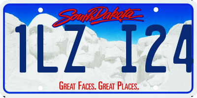 SD license plate 1LZI24