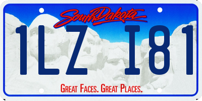 SD license plate 1LZI81