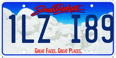 SD license plate 1LZI89