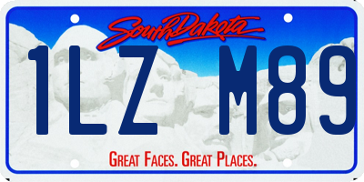 SD license plate 1LZM89