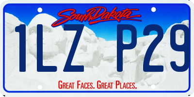 SD license plate 1LZP29