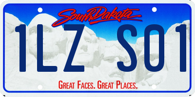 SD license plate 1LZS01