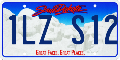 SD license plate 1LZS12