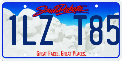 SD license plate 1LZT85