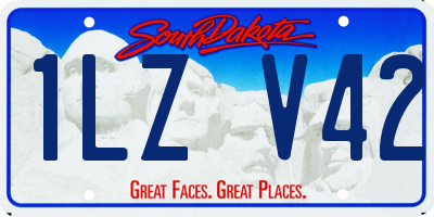 SD license plate 1LZV42