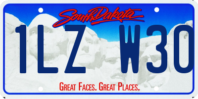 SD license plate 1LZW30