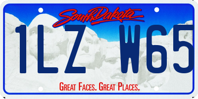 SD license plate 1LZW65