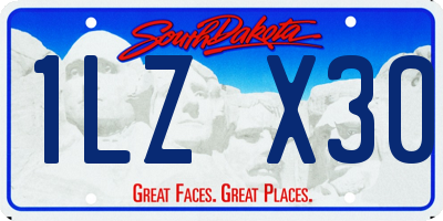 SD license plate 1LZX30