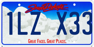 SD license plate 1LZX33