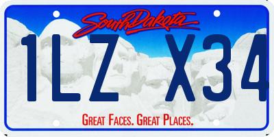 SD license plate 1LZX34