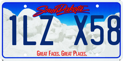 SD license plate 1LZX58