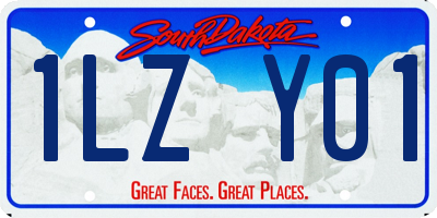 SD license plate 1LZY01