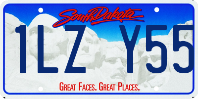 SD license plate 1LZY55