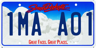 SD license plate 1MAA01