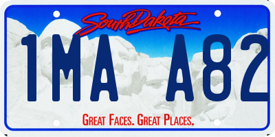 SD license plate 1MAA82