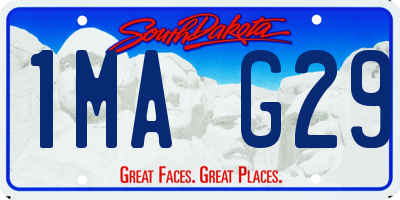 SD license plate 1MAG29