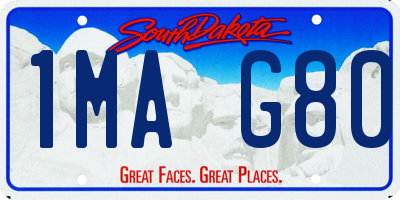 SD license plate 1MAG80