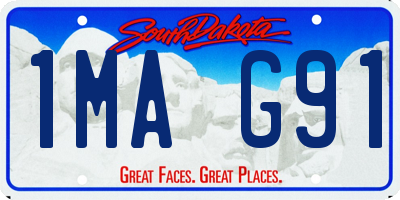 SD license plate 1MAG91