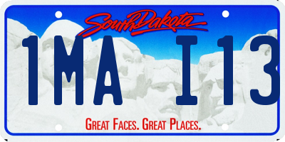 SD license plate 1MAI13