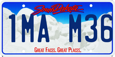 SD license plate 1MAM36