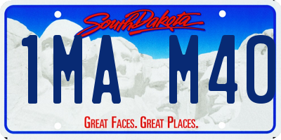 SD license plate 1MAM40