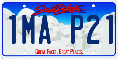 SD license plate 1MAP21