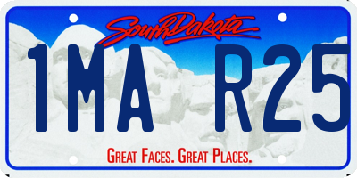 SD license plate 1MAR25