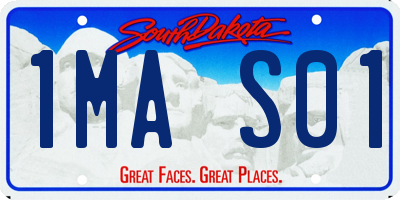SD license plate 1MAS01