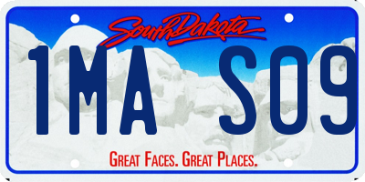 SD license plate 1MAS09