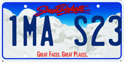 SD license plate 1MAS23