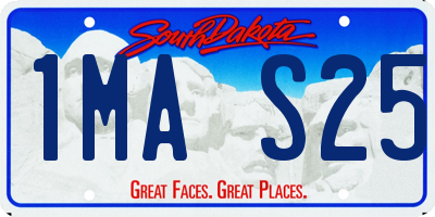 SD license plate 1MAS25