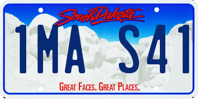 SD license plate 1MAS41