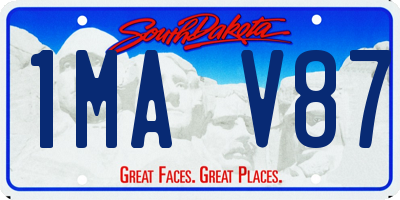 SD license plate 1MAV87
