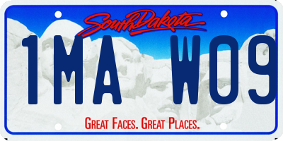 SD license plate 1MAW09