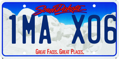 SD license plate 1MAX06