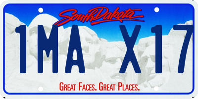 SD license plate 1MAX17