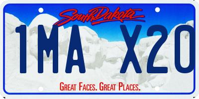 SD license plate 1MAX20