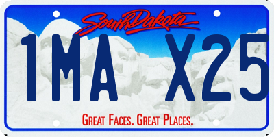 SD license plate 1MAX25