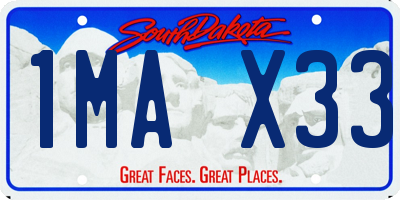 SD license plate 1MAX33