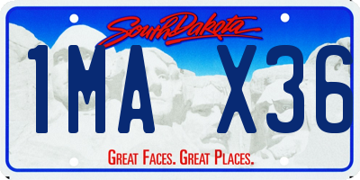 SD license plate 1MAX36