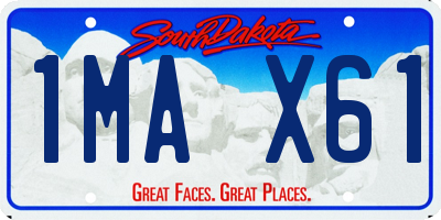 SD license plate 1MAX61
