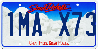 SD license plate 1MAX73