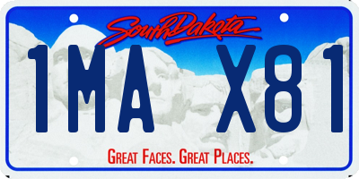 SD license plate 1MAX81