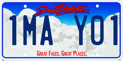 SD license plate 1MAY01